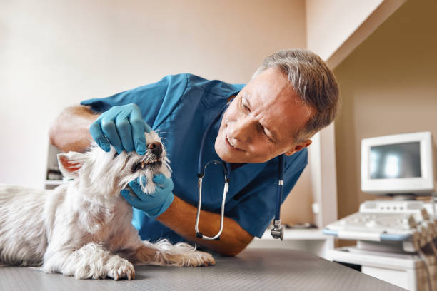  Washington Park, FL Emergency Dentist Pros